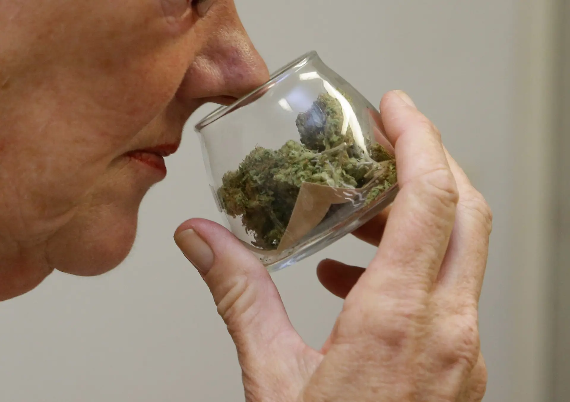 Canábis medicinal ajuda a aliviar dor causada pelo cancro