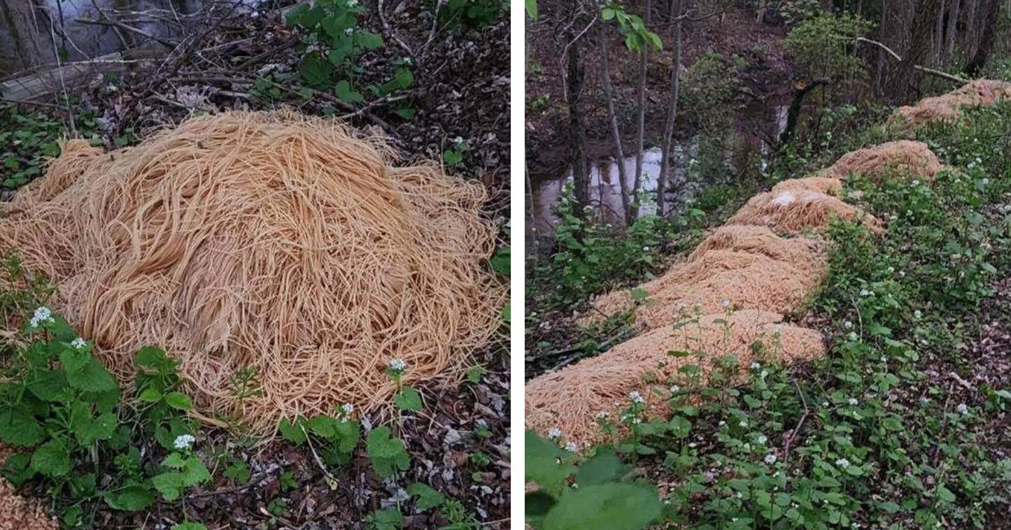 Hunderte Kilogramm Spaghetti illegal in den Bach geworfen