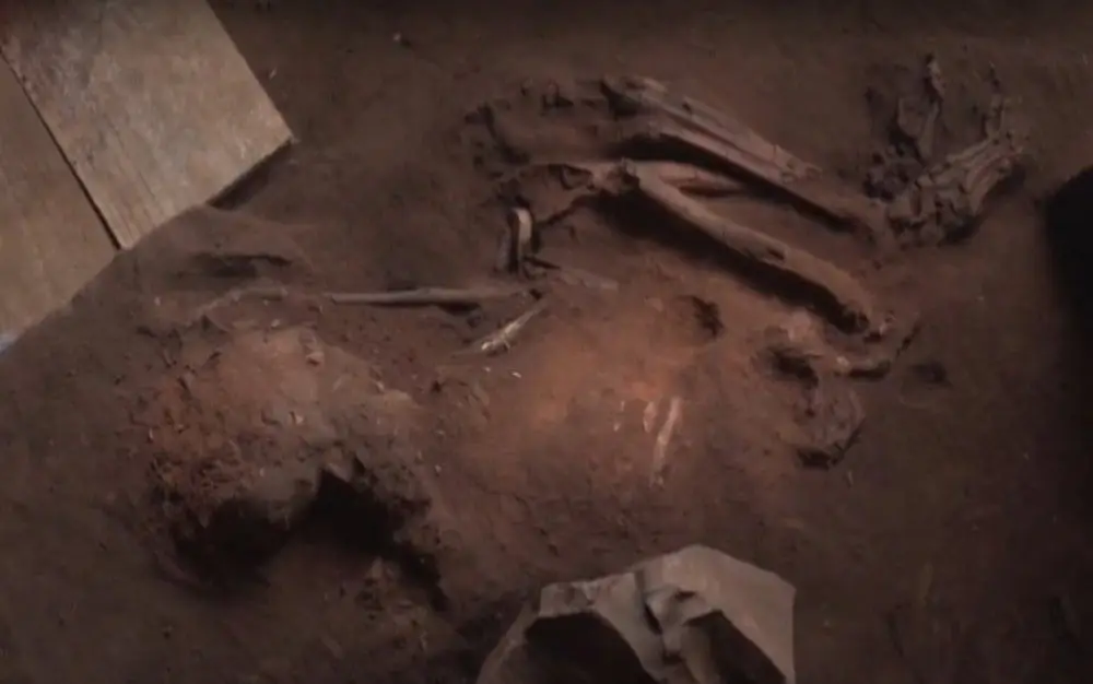 Arqueólogos encontram fóssil humano no Brasil com perto de 12 mil anos