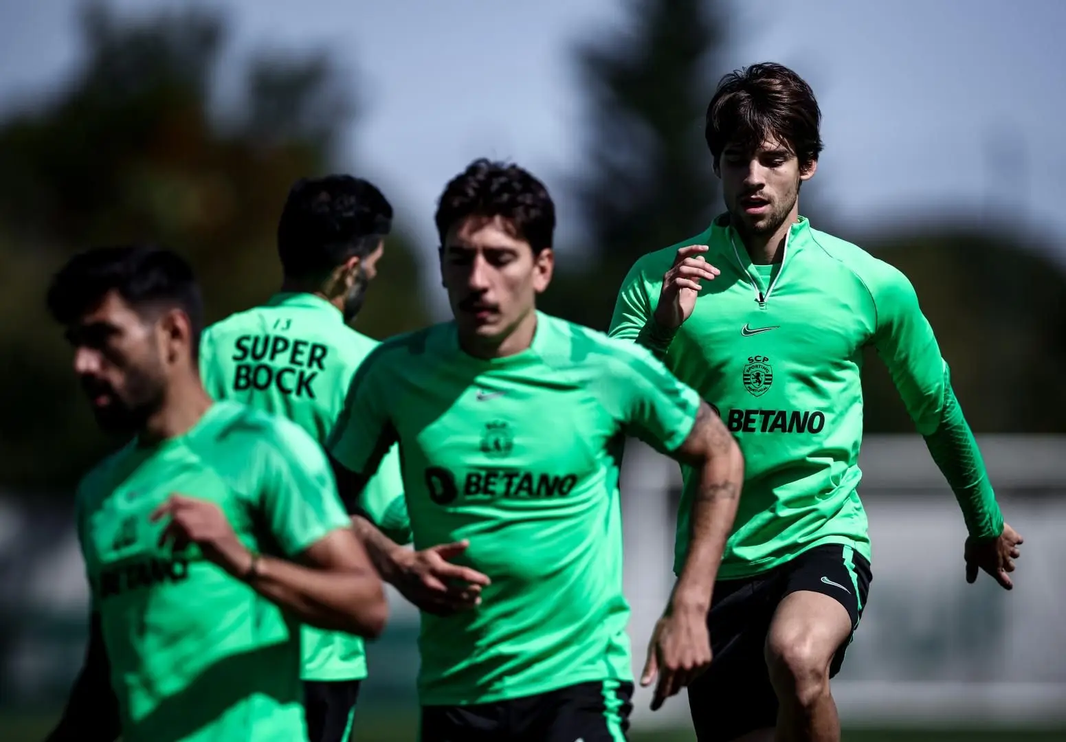 Benfica pode ser campeão este domingo? As contas da Liga a três