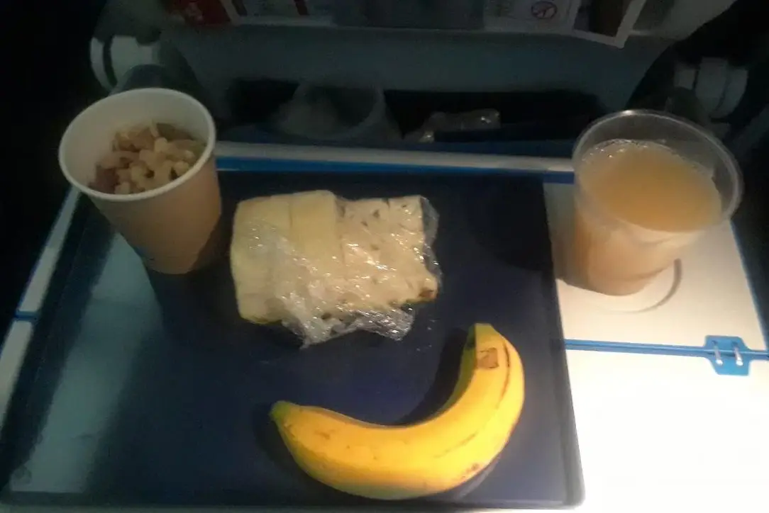 Passageira vegan recebe frutas e nozes em voo de 7.400 km