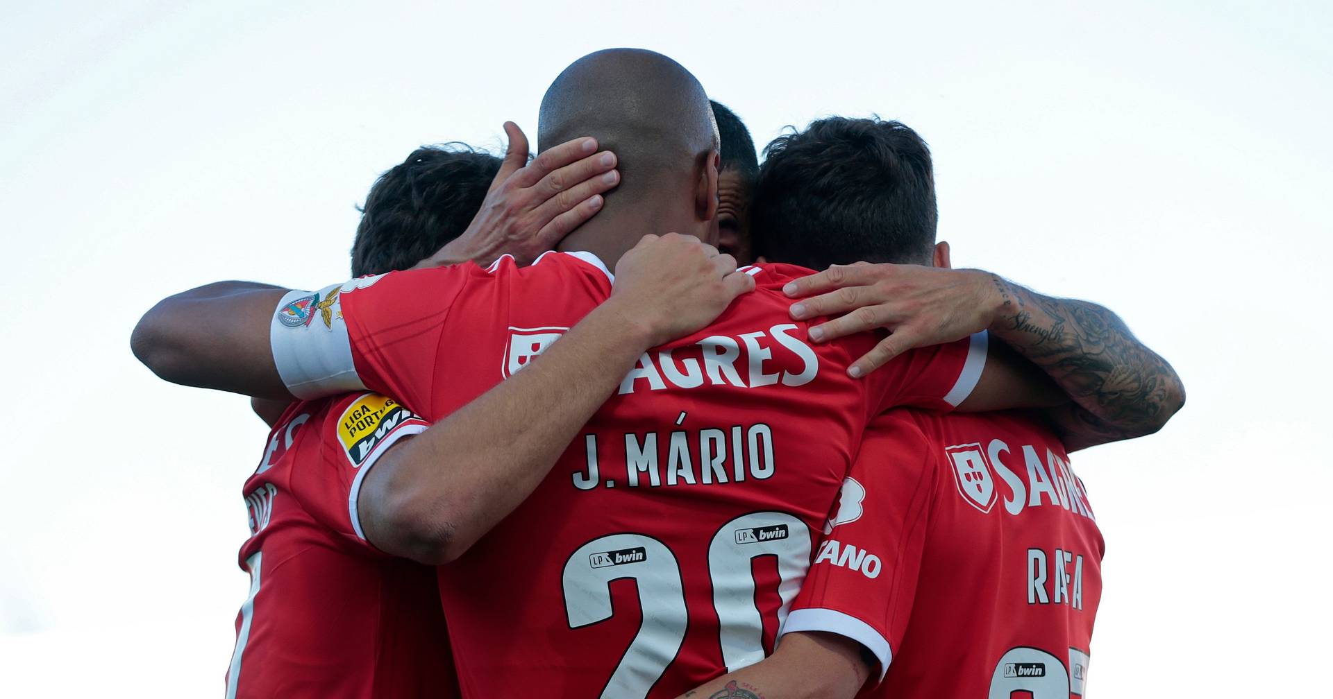 Campeão Benfica de regresso ao trabalho com pequenos acertos no plantel -  SIC Notícias