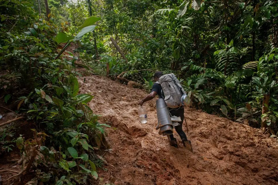 Milagre na selva: três crianças e um bebé encontrados vivos após queda de avião há duas semanas
