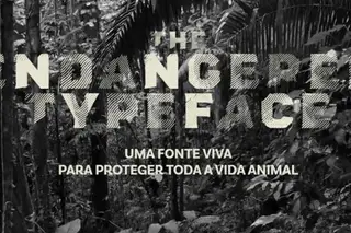 Espécies ameaçadas: lançada campanha em que cada letra é um animal em vias de extinção
