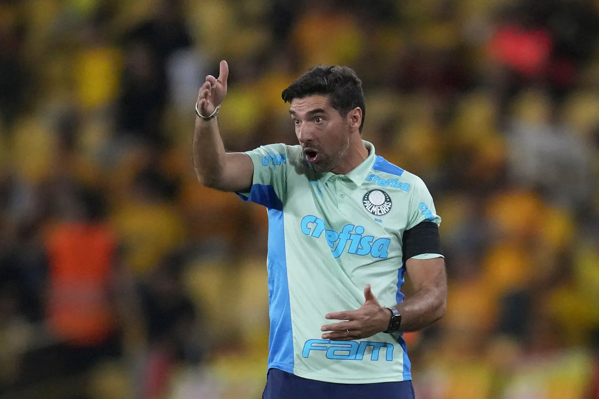 Abel Ferreira