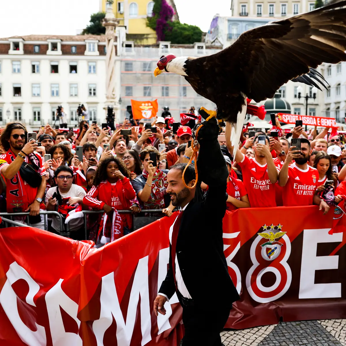 Benfica vai ser recebido esta segunda-feira na Câmara de Lisboa - SIC  Notícias