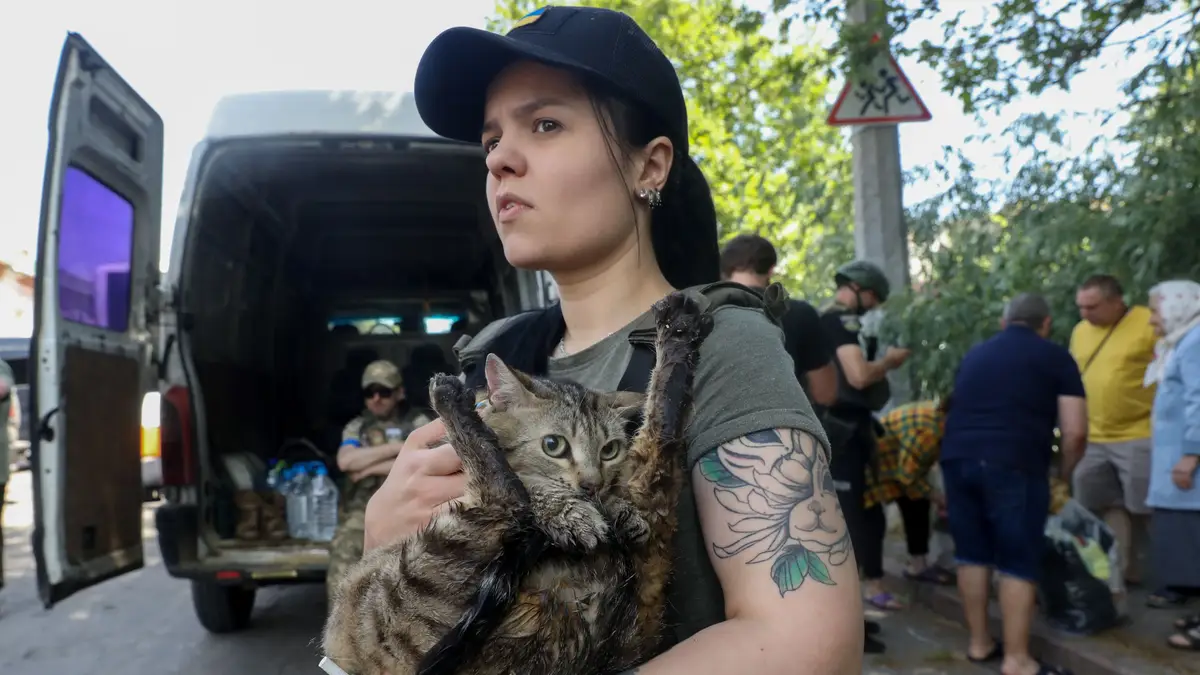 Resgate animais Kherson