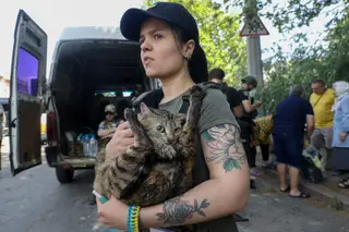 Cães e gatos resgatados após explosão de barragem em Kherson