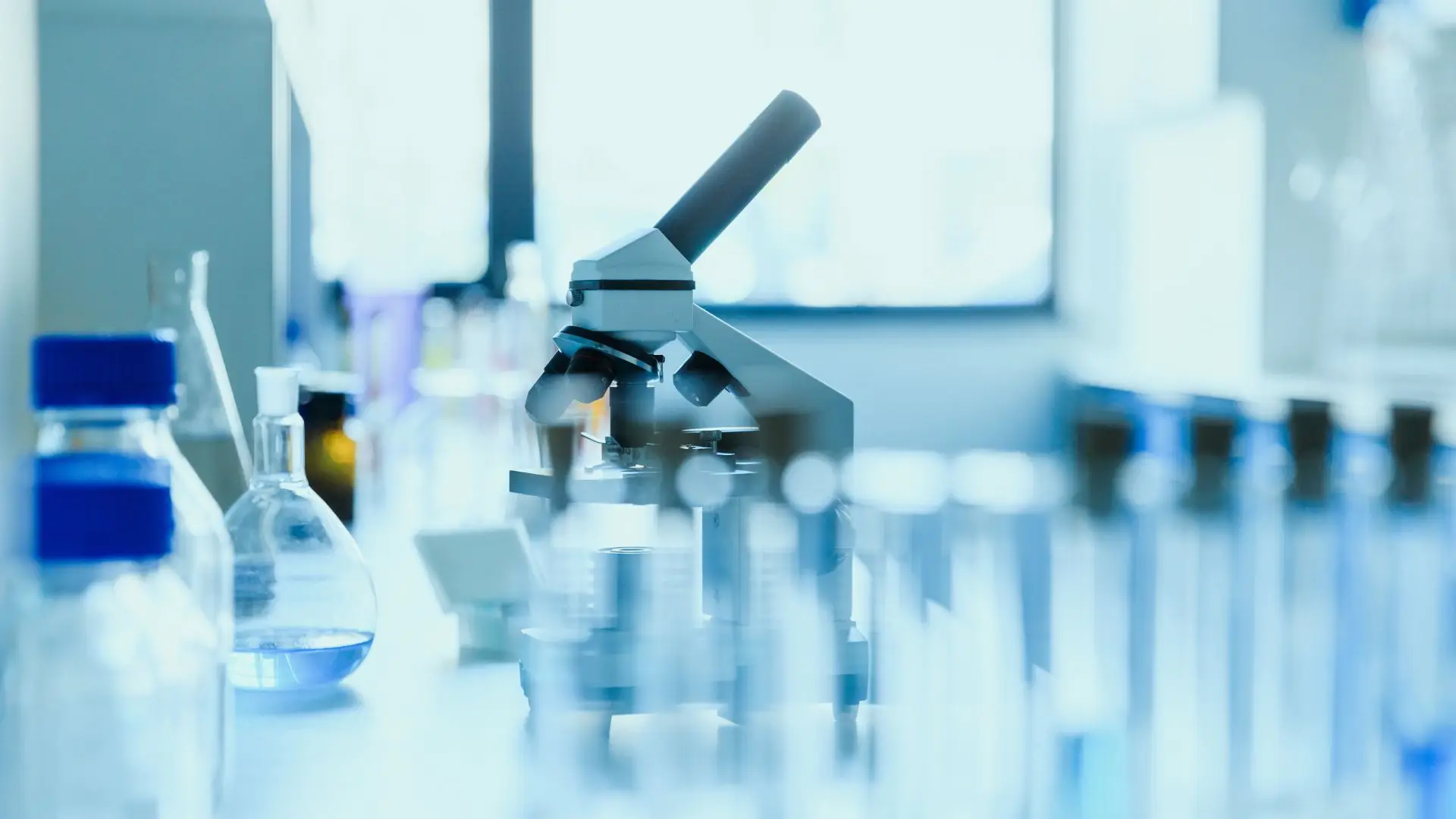 Universidade Nova de Lisboa cria biobanco de apoio à investigação científica