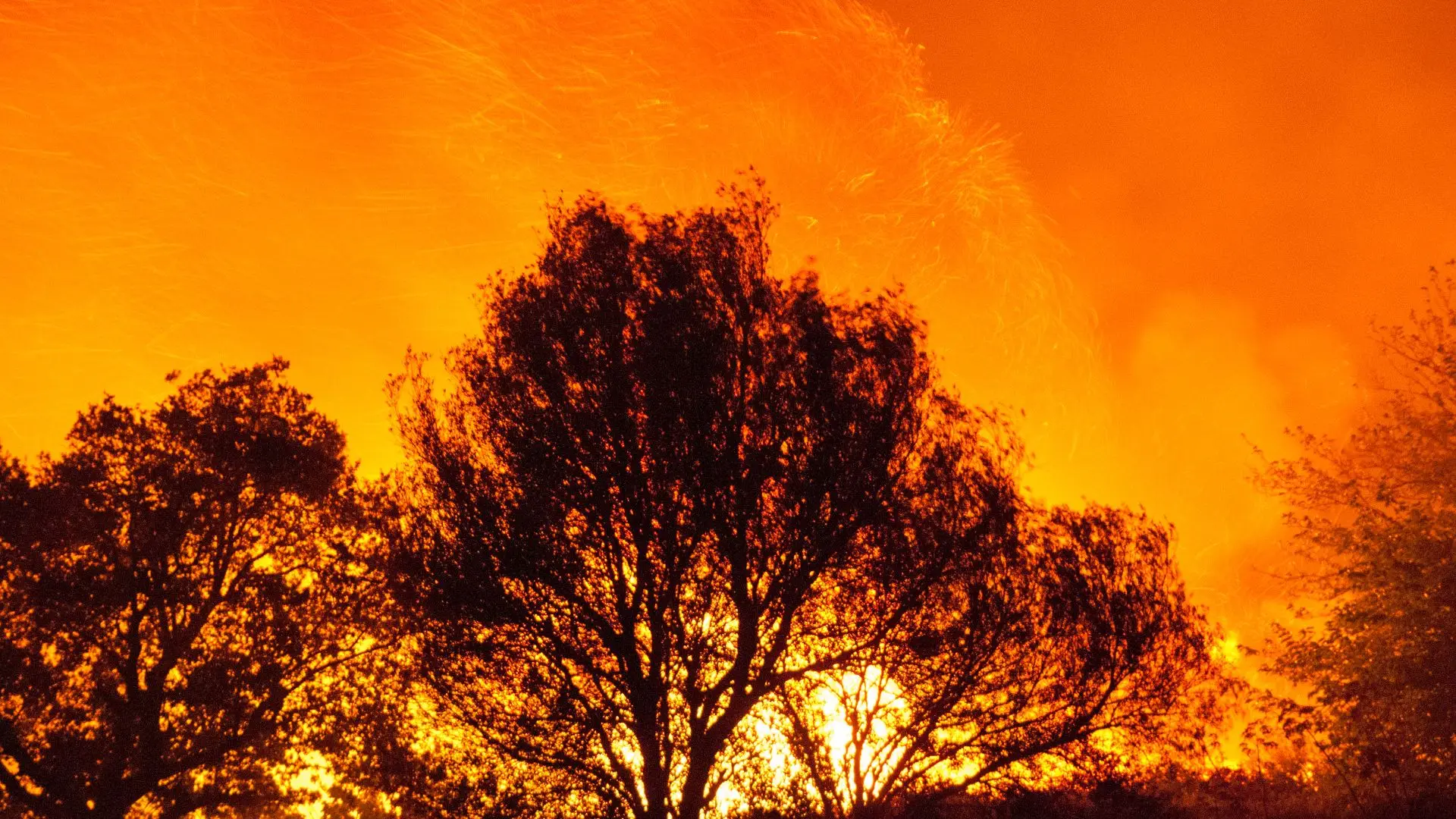 Alerta: escolas e hospitais da Europa em risco devido ao calor extremo, Crise climática