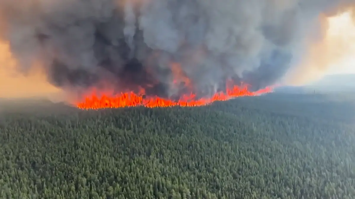 Incêndio florestal em Tumbler Ridge, no Canadá. 