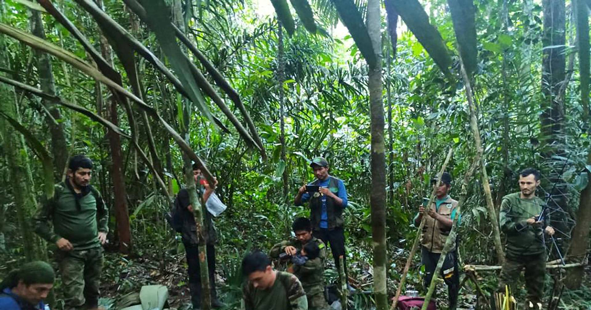 Colombia: el perro que encontró a cuatro niños se pierde en la selva