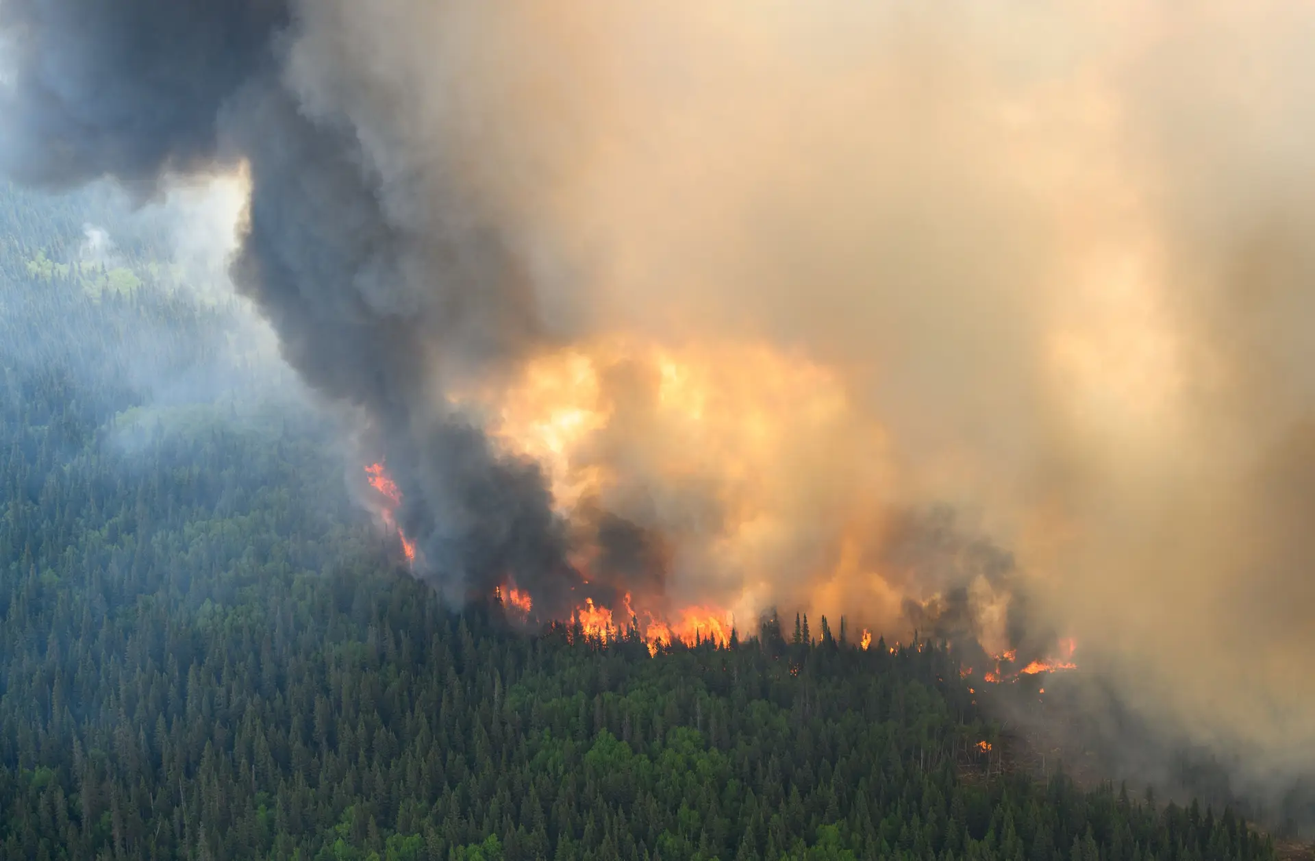 Portugal envia 140 operacionais para ajudar a combater incêndios no Canadá