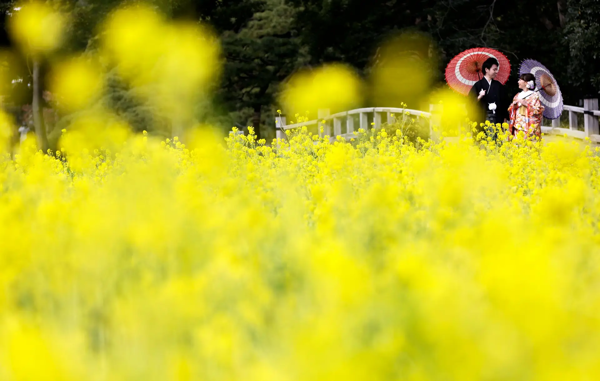 Japão eleva idade de consentimento sexual de 13 para 16 anos