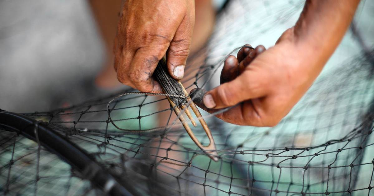 Pescadores de Caminha pedem apoio imediato e extraordinário ao Governo