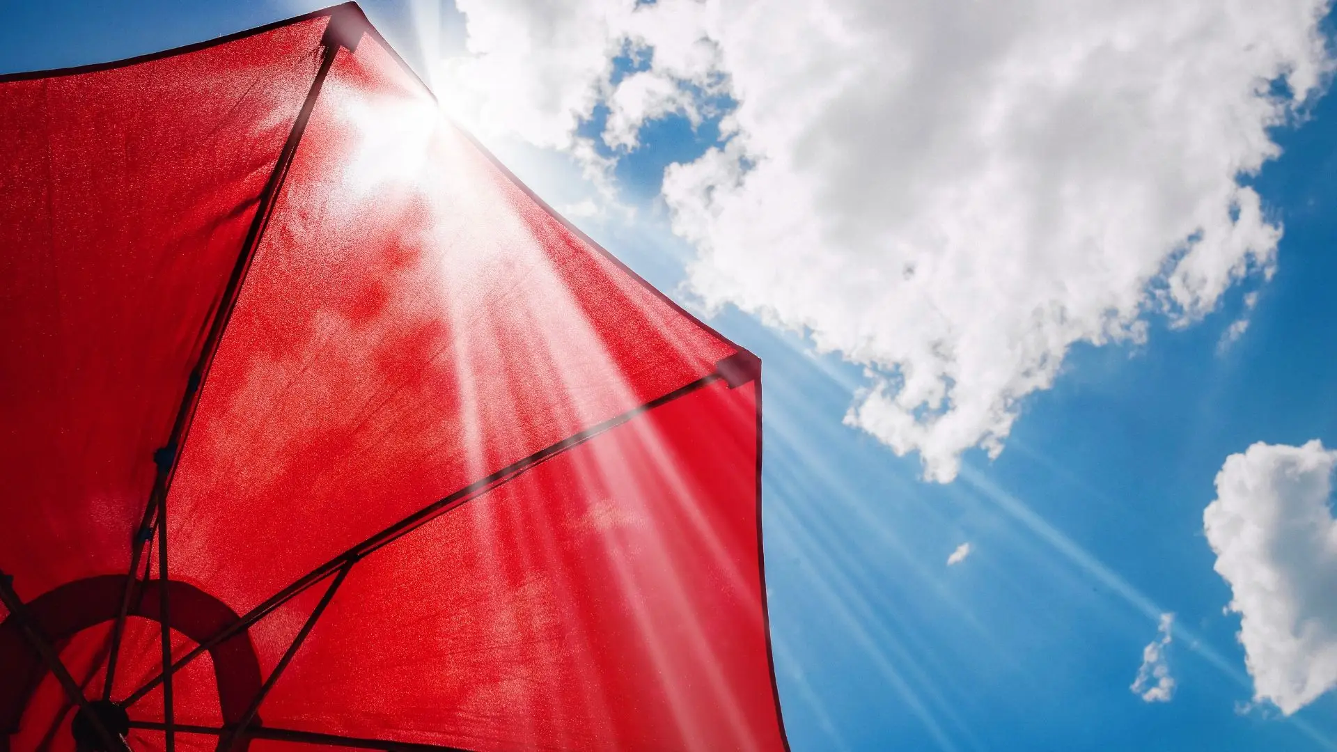 Calor: IPMA coloca seis distritos sob aviso amarelo
