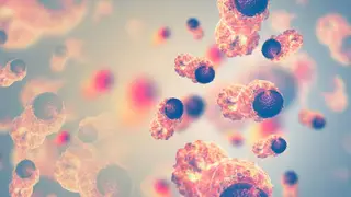 Descoberta nova técnica que potencia destruição de células cancerígenas