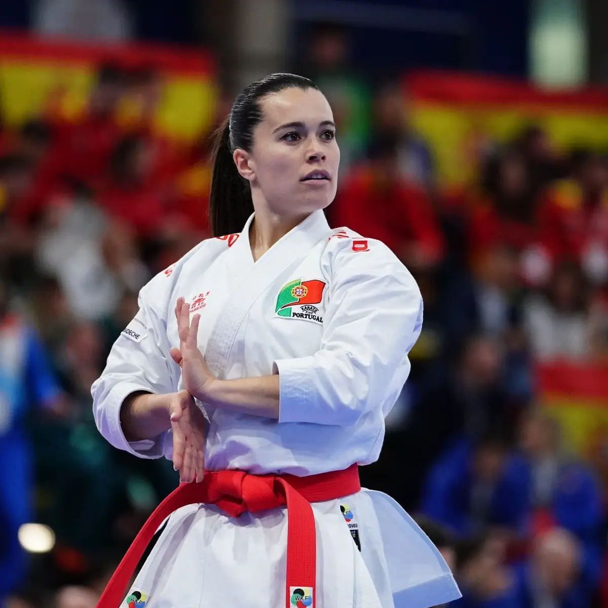 Jogos Europeus: Portugal na luta pelas medalhas com a mira nos Olímpicos de  Paris - SIC Notícias