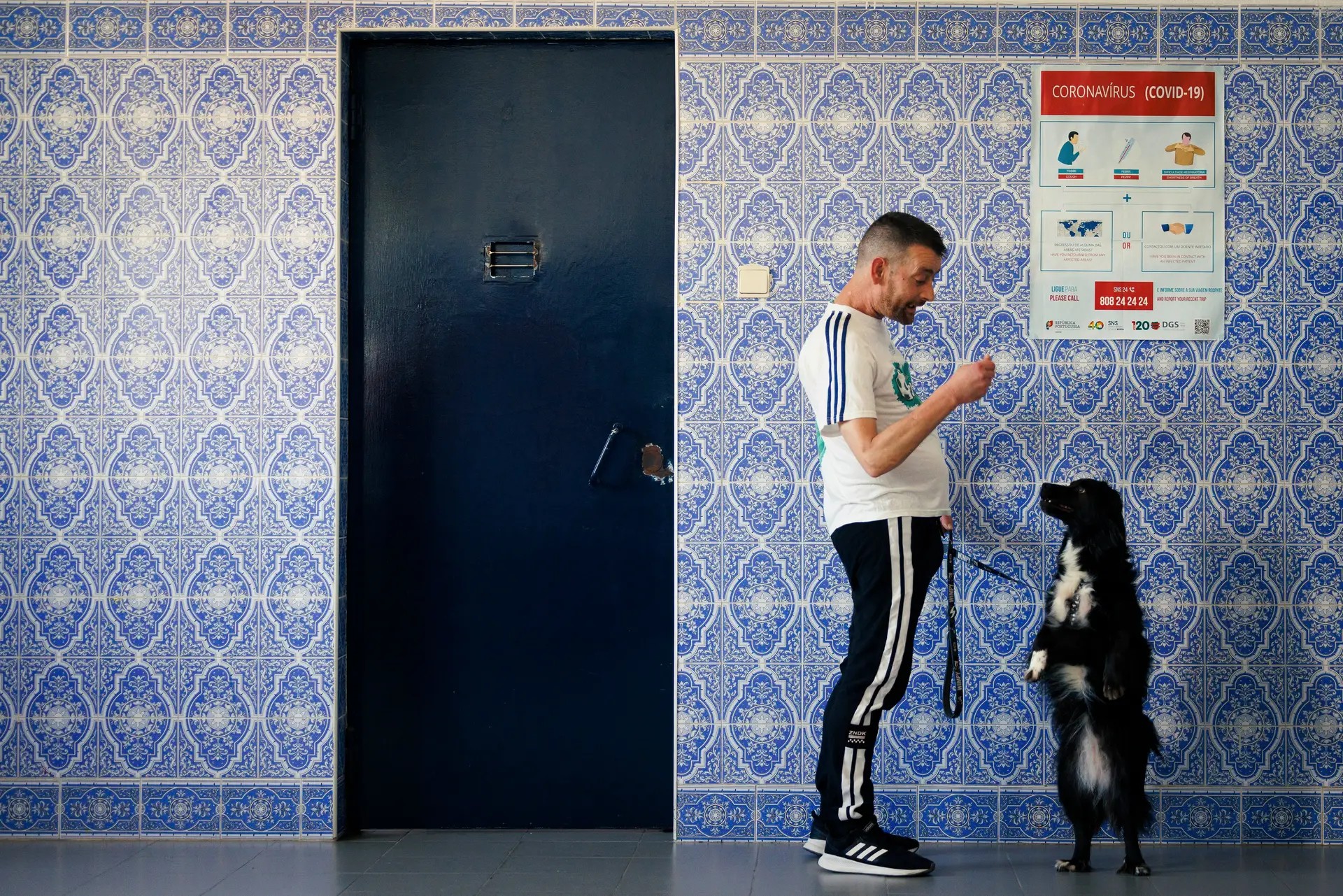 Projeto "Pelos 2": uma reabilitação mútua entre reclusos e cães abandonados em Vila Real