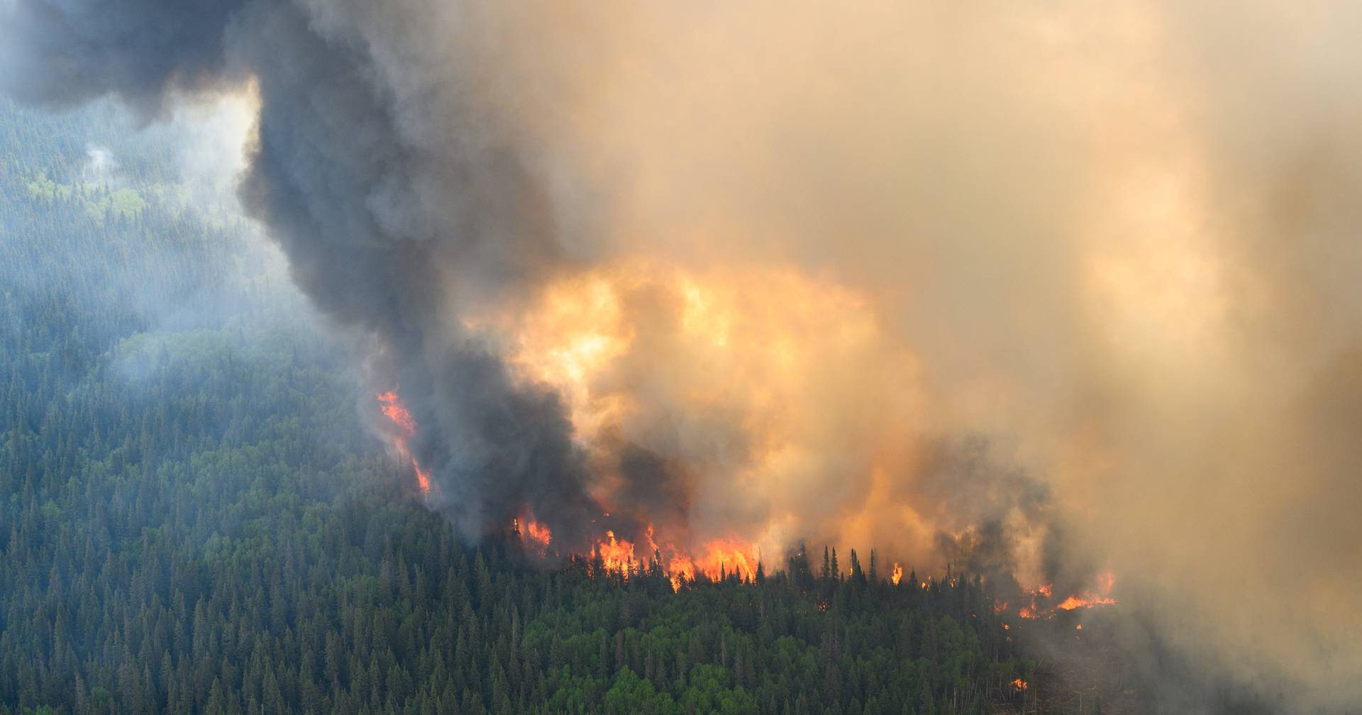 Canada is experiencing an “unprecedented” situation: there are more than 800 active fires