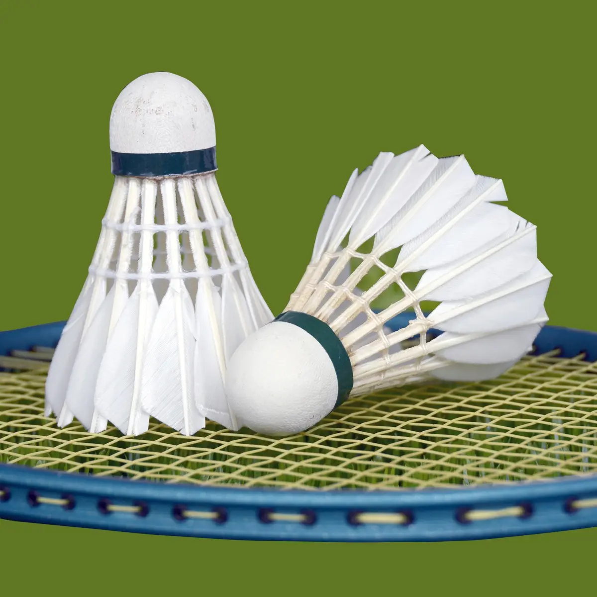 Ténis de mesa, badminton e karaté reforçam equipa portuguesa nos Jogos  Europeus'2023 - Jogos Europeus - Jornal Record