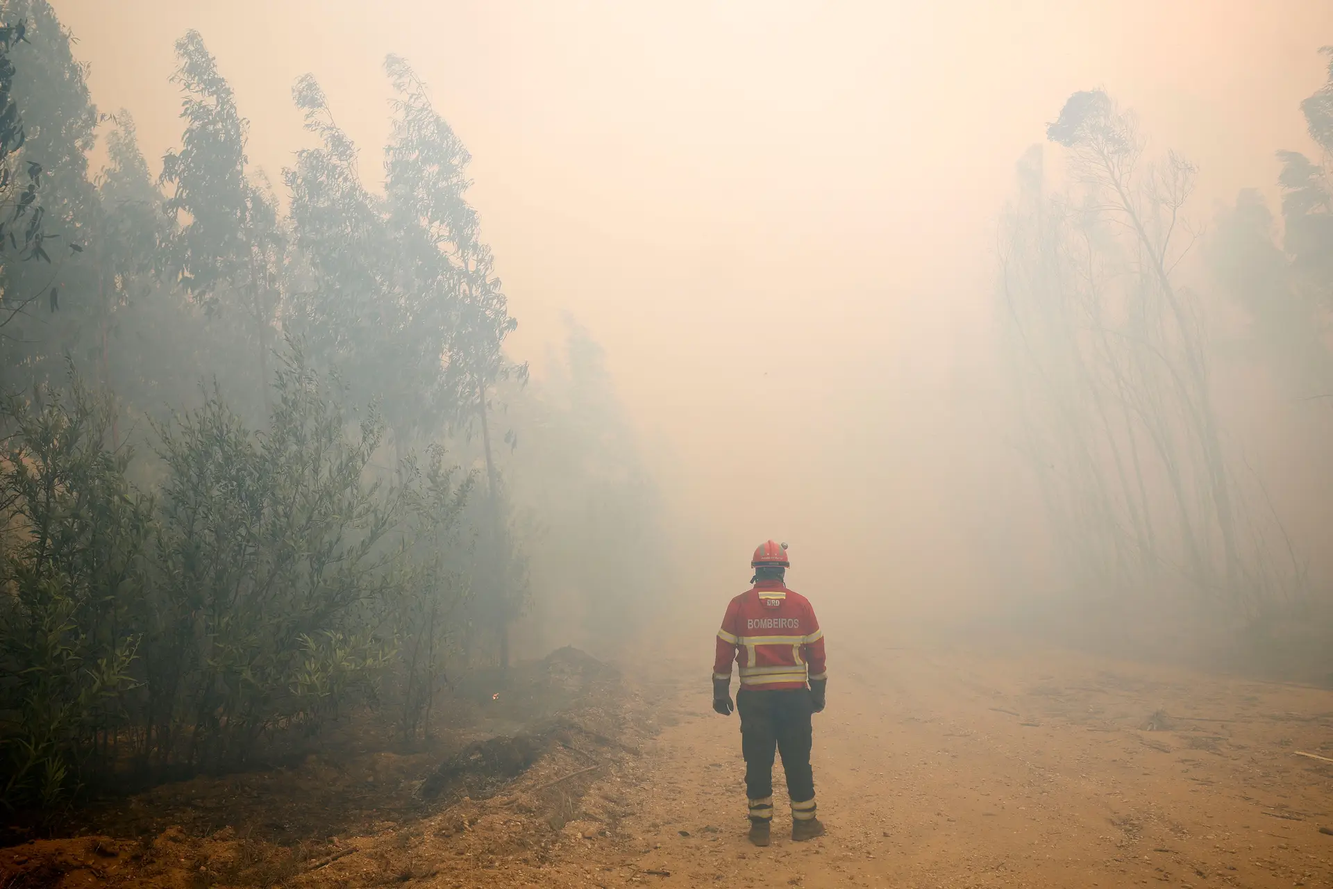Incêndios "estão, estranhamente, a deflagrar em vários locais" nas Caldas da Rainha
