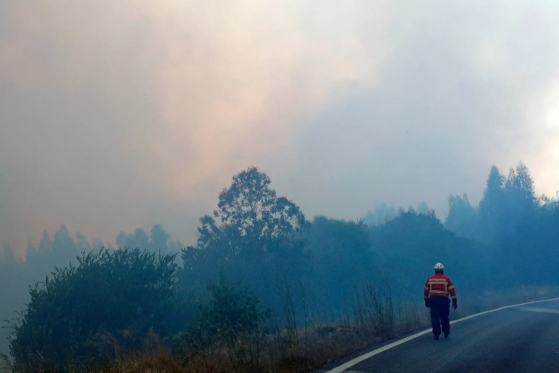 Risco de incêndio: mais de 50 concelhos em perigo máximo