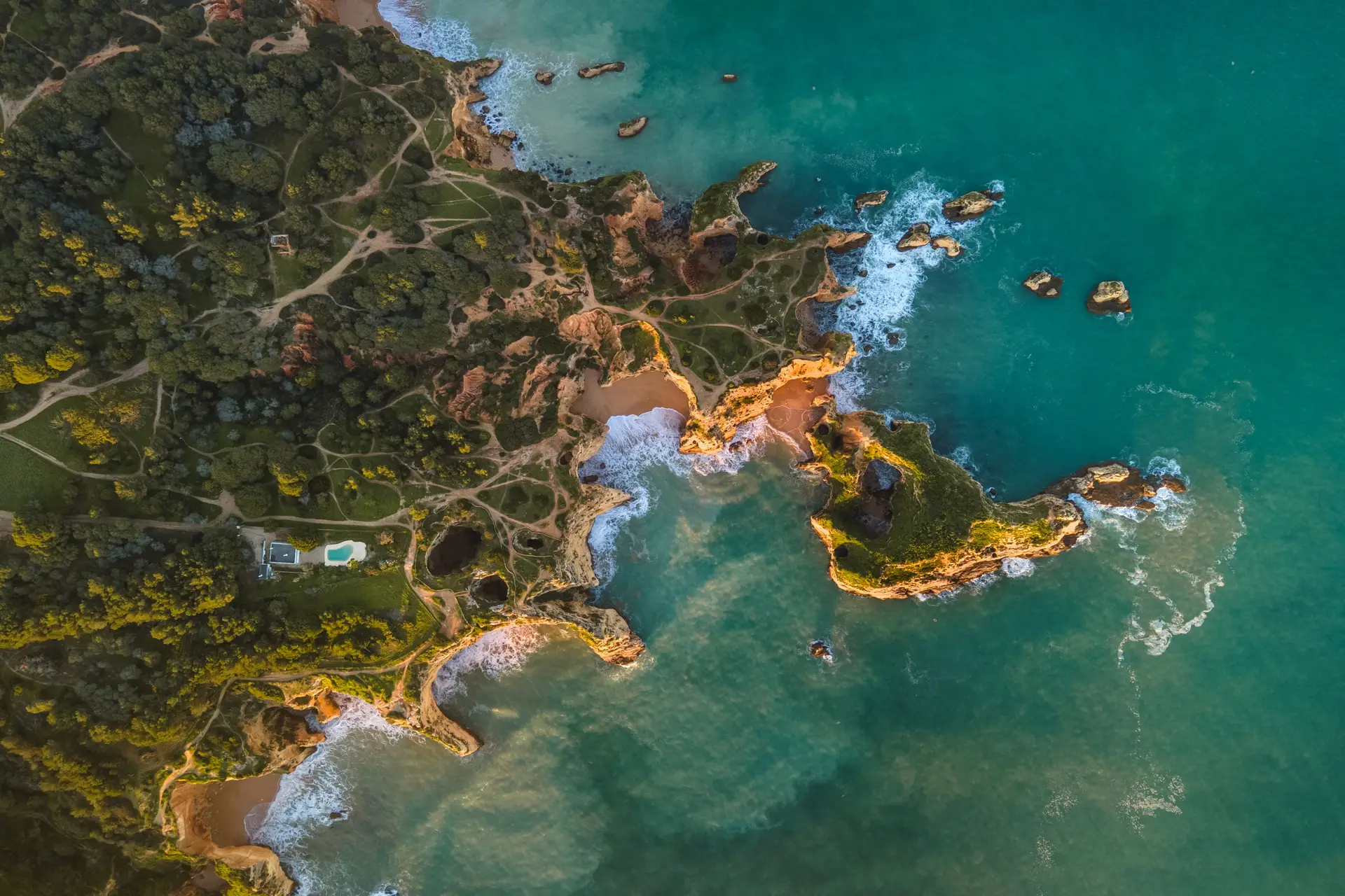 Tesouro na costa algarvia: um paraíso (selvagem) por descobrir