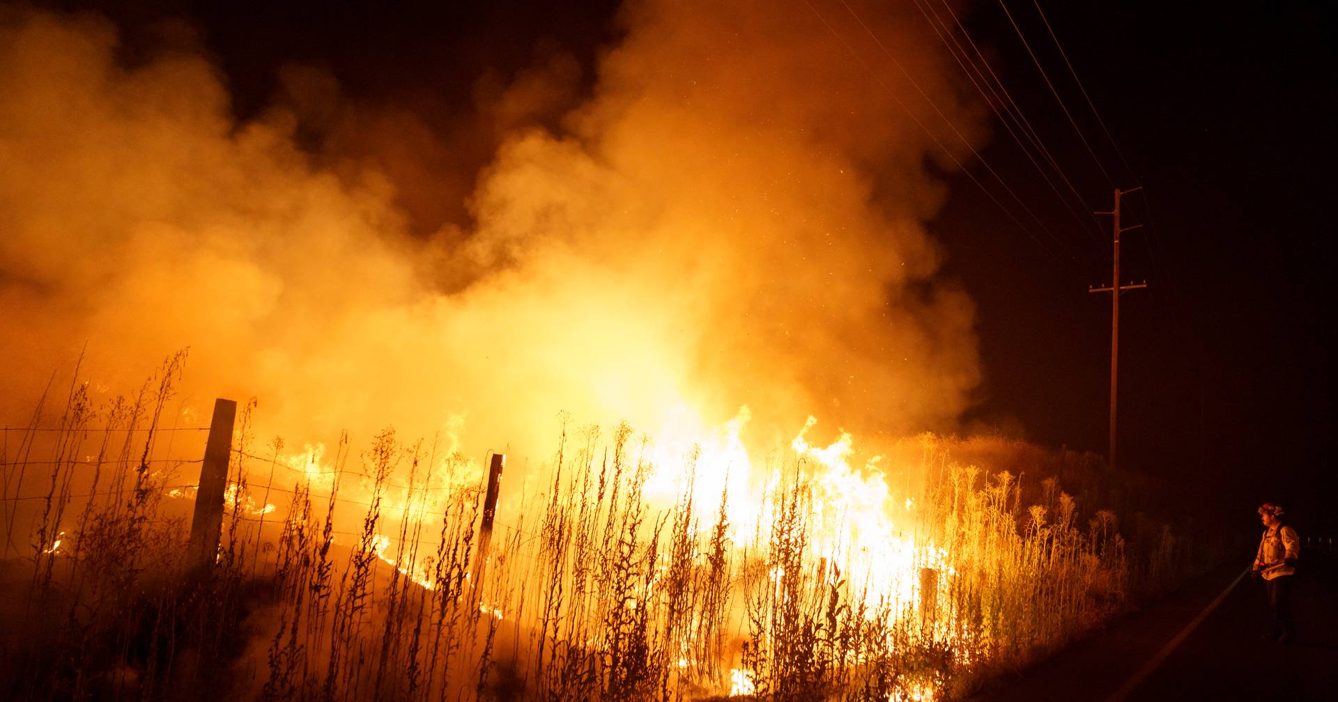 Fires in Canada have released the equivalent of more than a billion tonnes of CO2