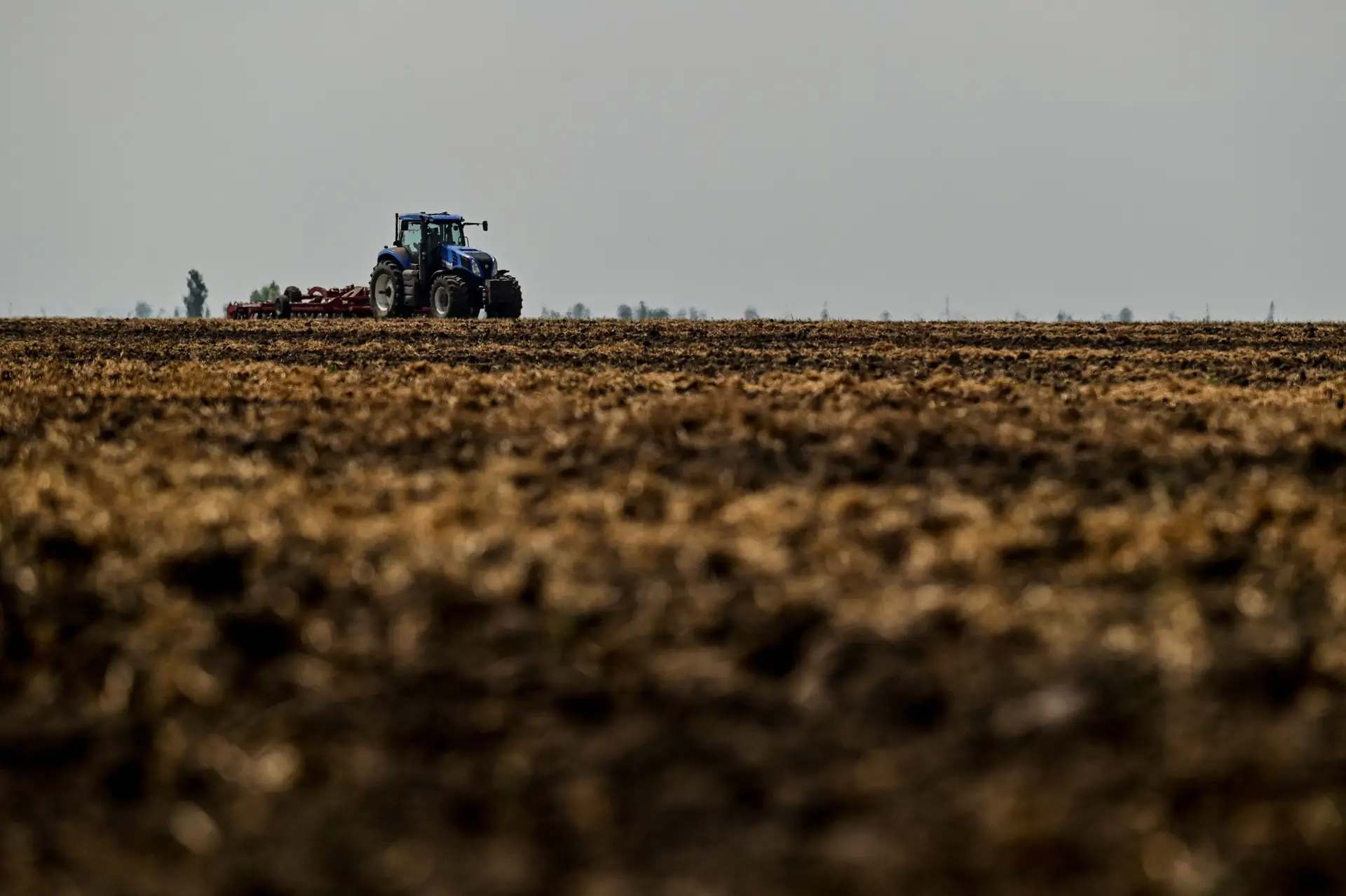 Ministro russo nega negociações para recuperar acordo de cereais