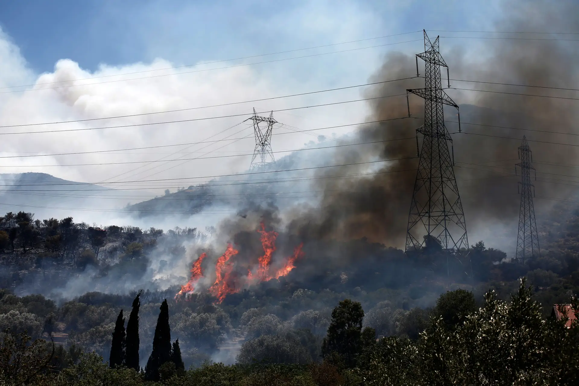 Incêndios ameaçam casas na Grécia, temperaturas rondam os 44ºC