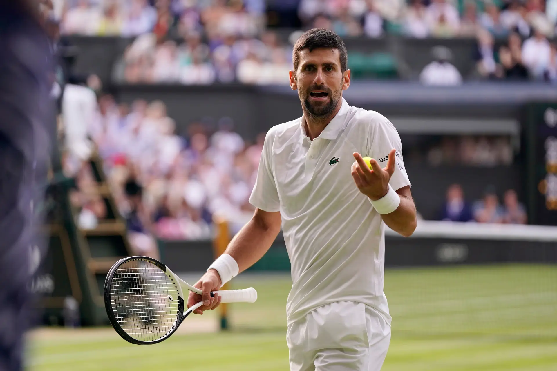 Em nova final contra Medvedev, Djokovic pode alcançar Margaret Court