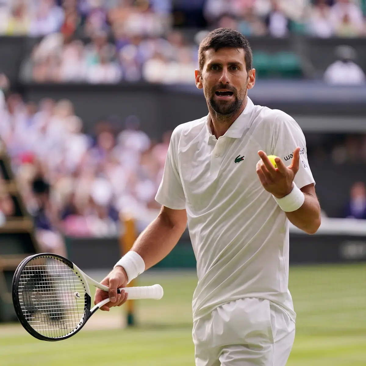 Tenista Djokovic está de férias nos Açores - SIC Notícias