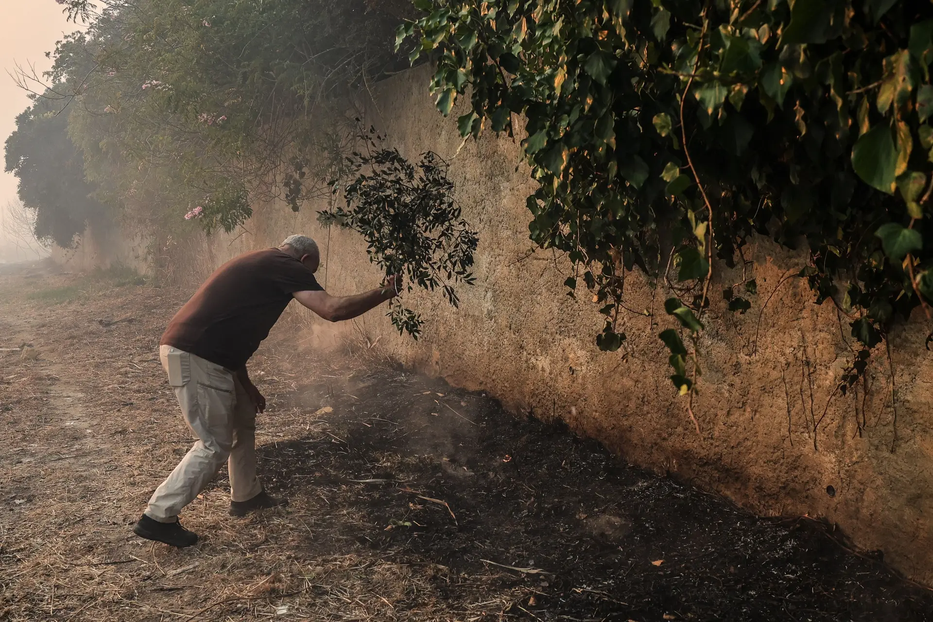 São Brás de Alportel e Tavira em risco máximo de incêndio