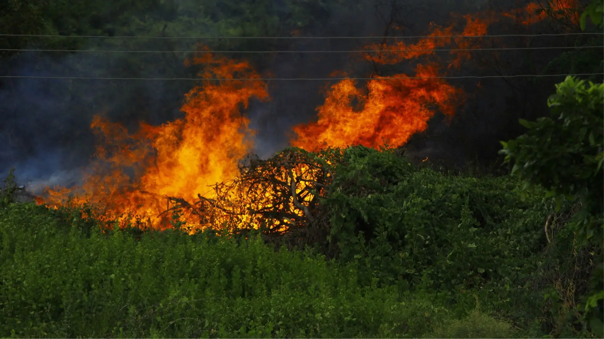 Cerca de 20 concelhos do Norte, Centro e Algarve em perigo máximo de incêndio