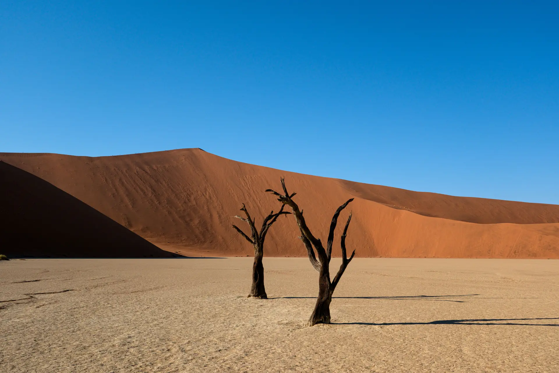 "Não tenho palavras, esta é a paisagem mais incrível que já vi"