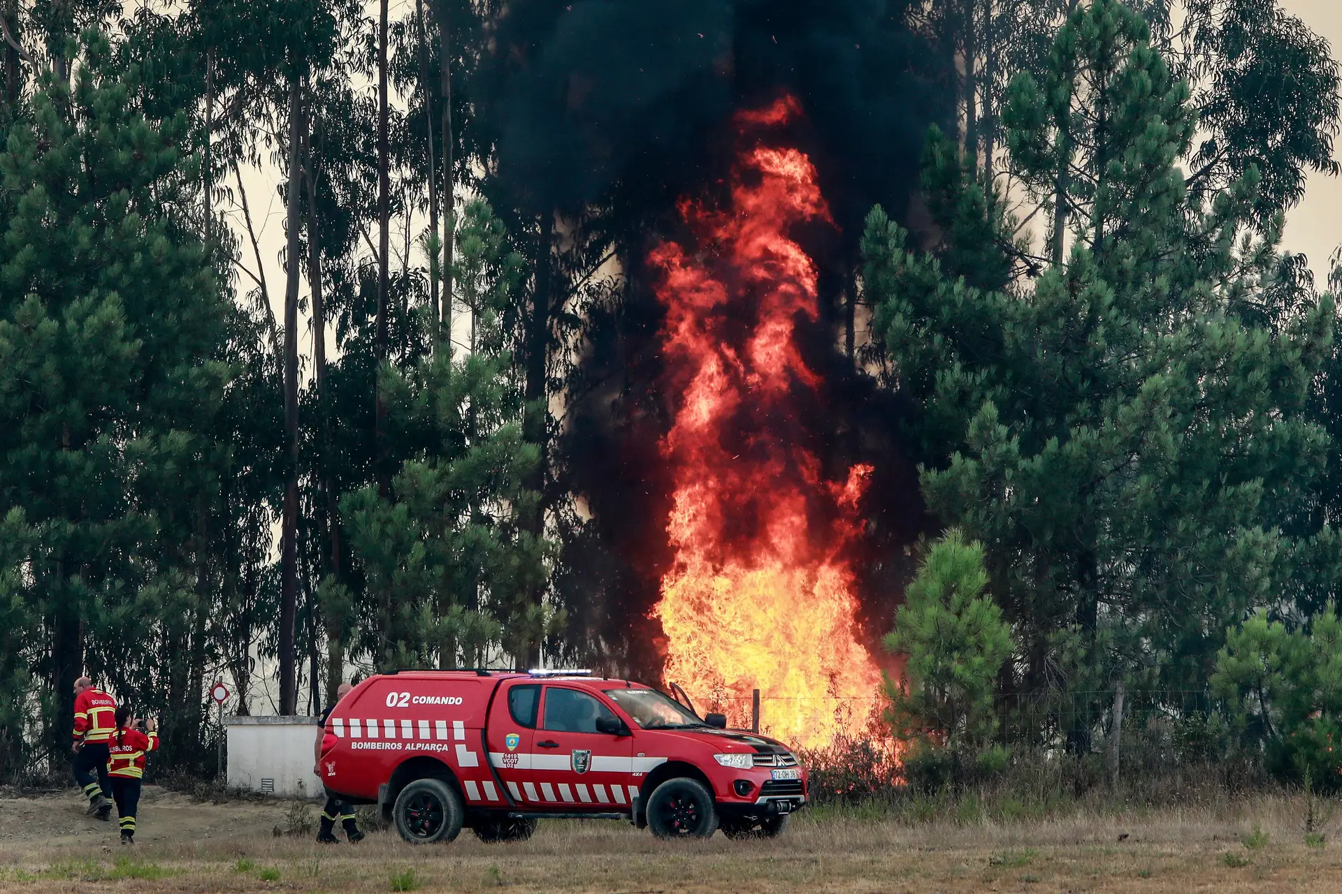 Seis feridos no incêndio em Castelo Branco e Proença-a-Nova
