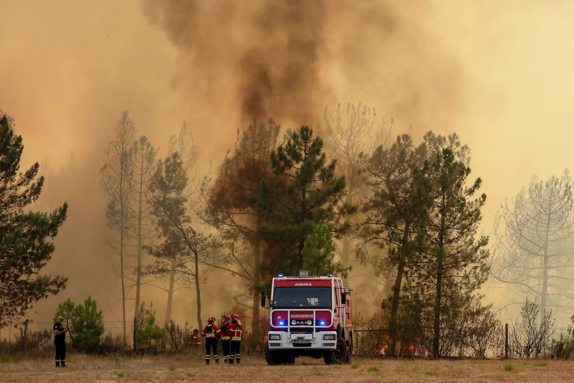 Mais de 120 concelhos em perigo máximo de incêndio