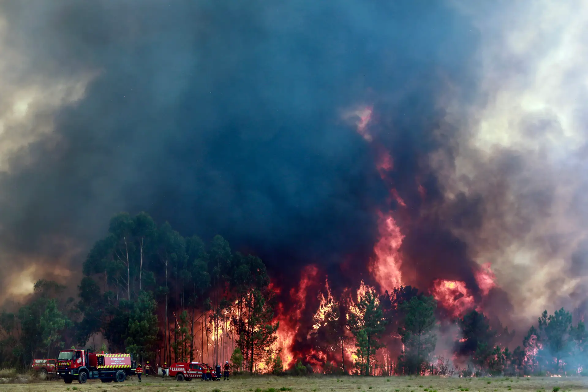 Mais de mil operacionais combatem incêndio em Castelo Branco e  Proença-a-Nova - SIC Notícias