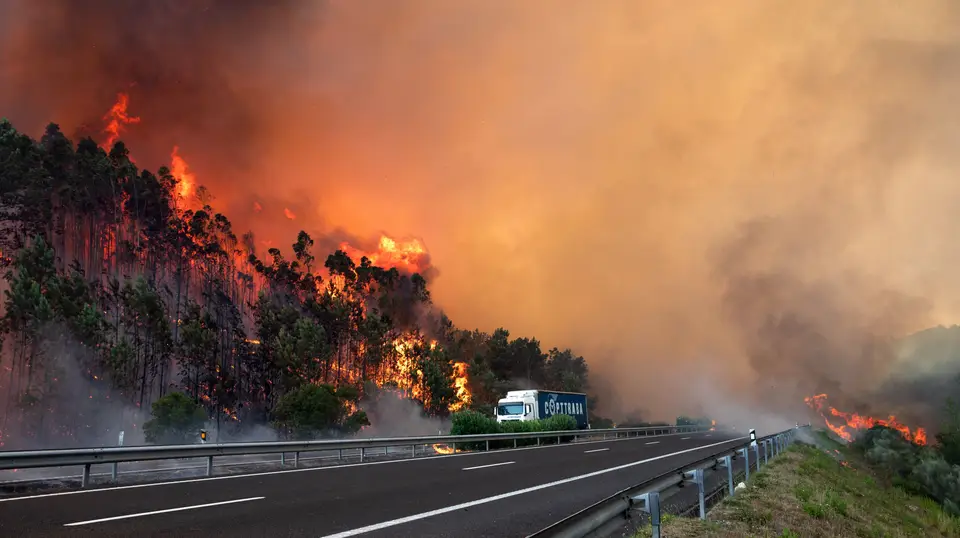 Incêndio na A1 na zona de Leiria