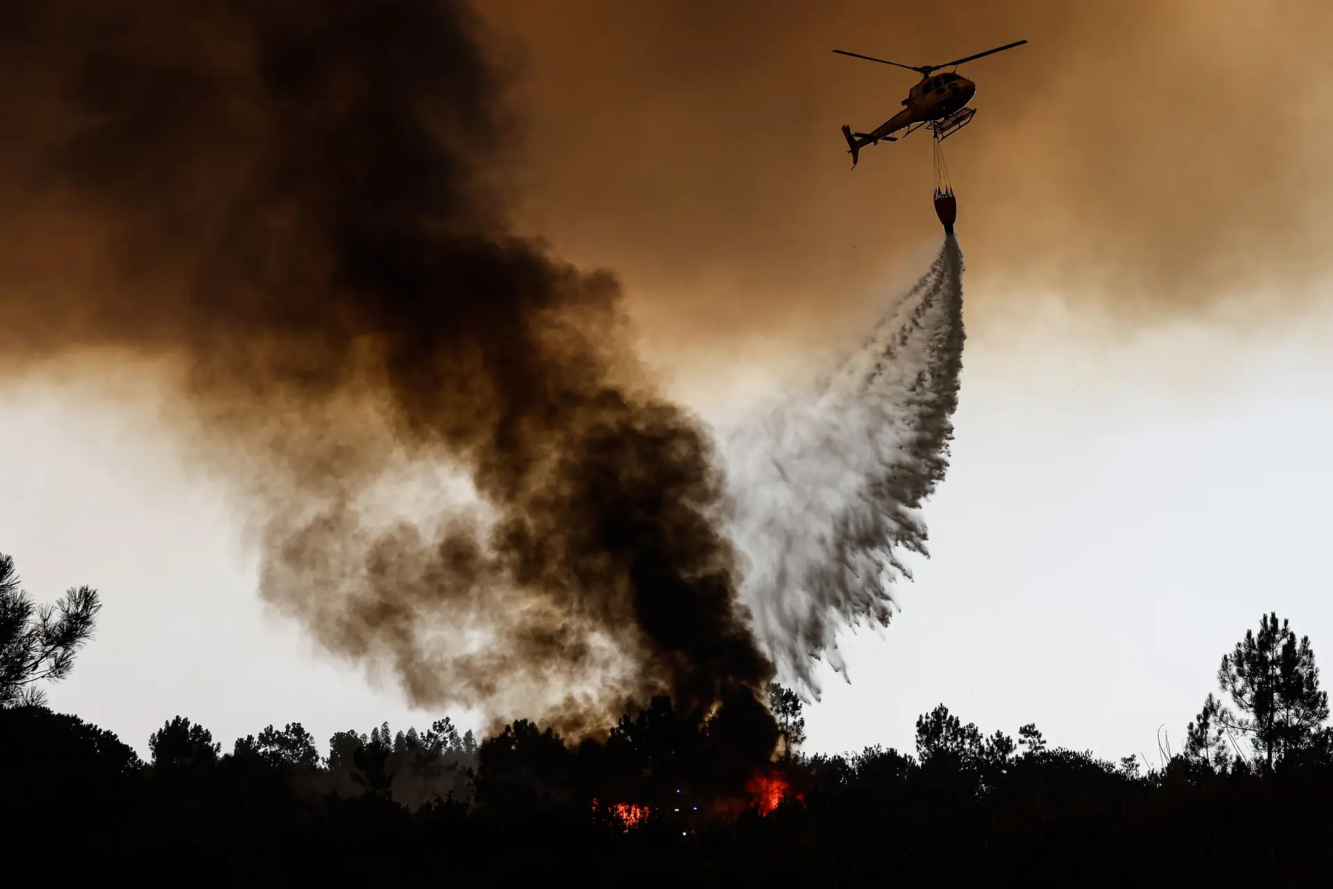 Cerca de 120 concelhos do Algarve e interior Norte e Centro em perigo máximo de incêndio