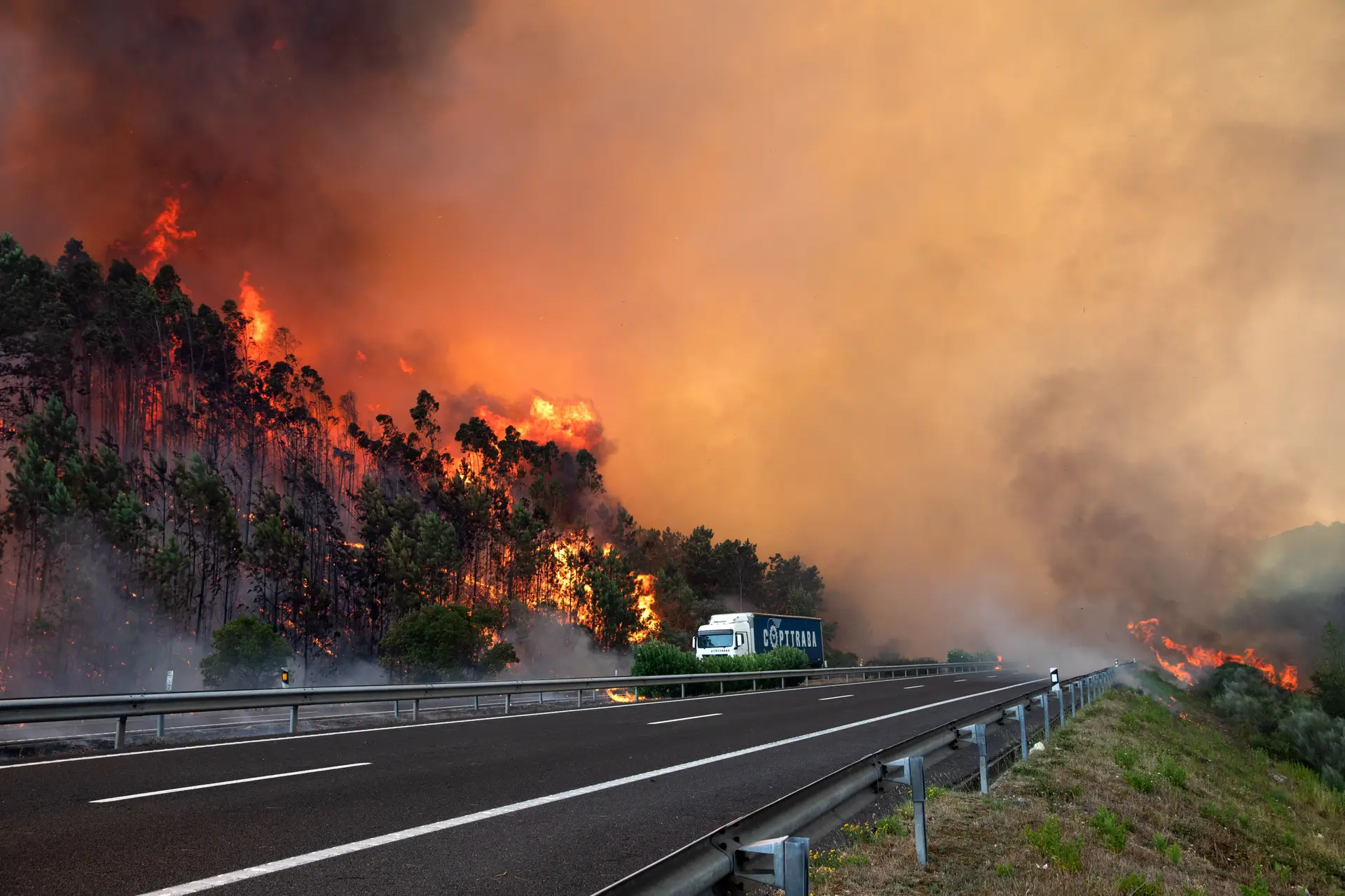 Mais de 100 concelhos em perigo máximo de incêndio