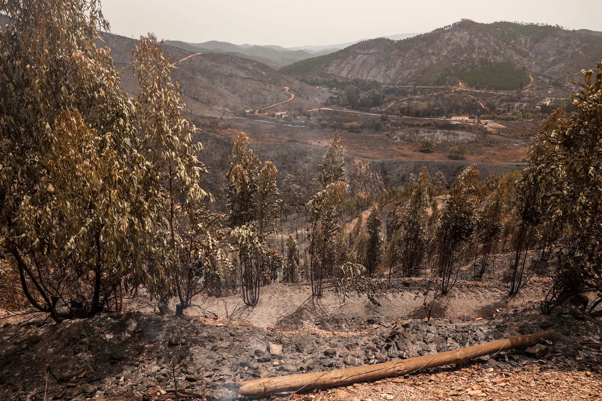Casas, turismo rural e centenas de hectares: o balanço da destruição do fogo de Odemira