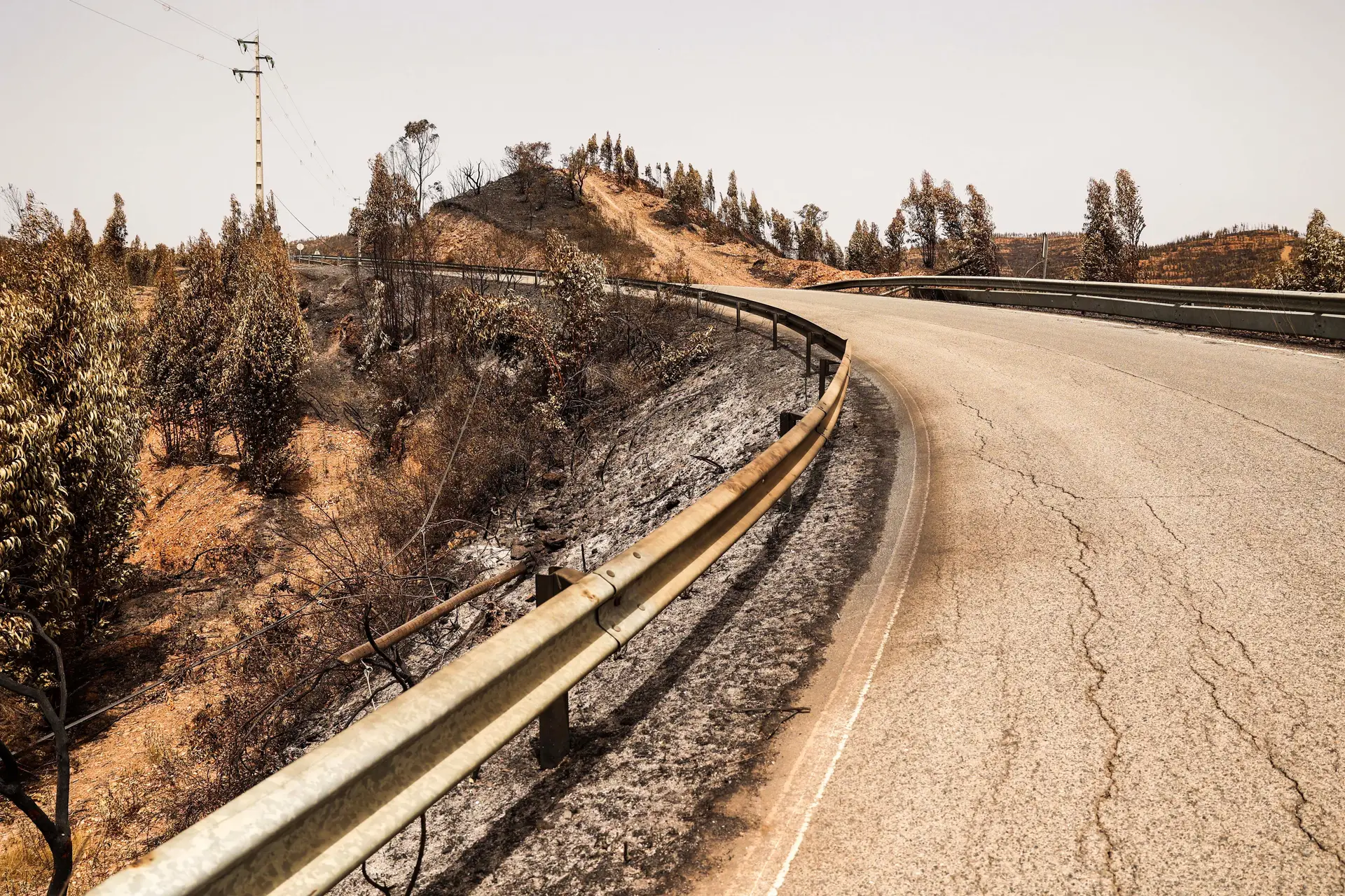 Área ardida antes dos incêndios da última semana era já três vezes superior a 2024