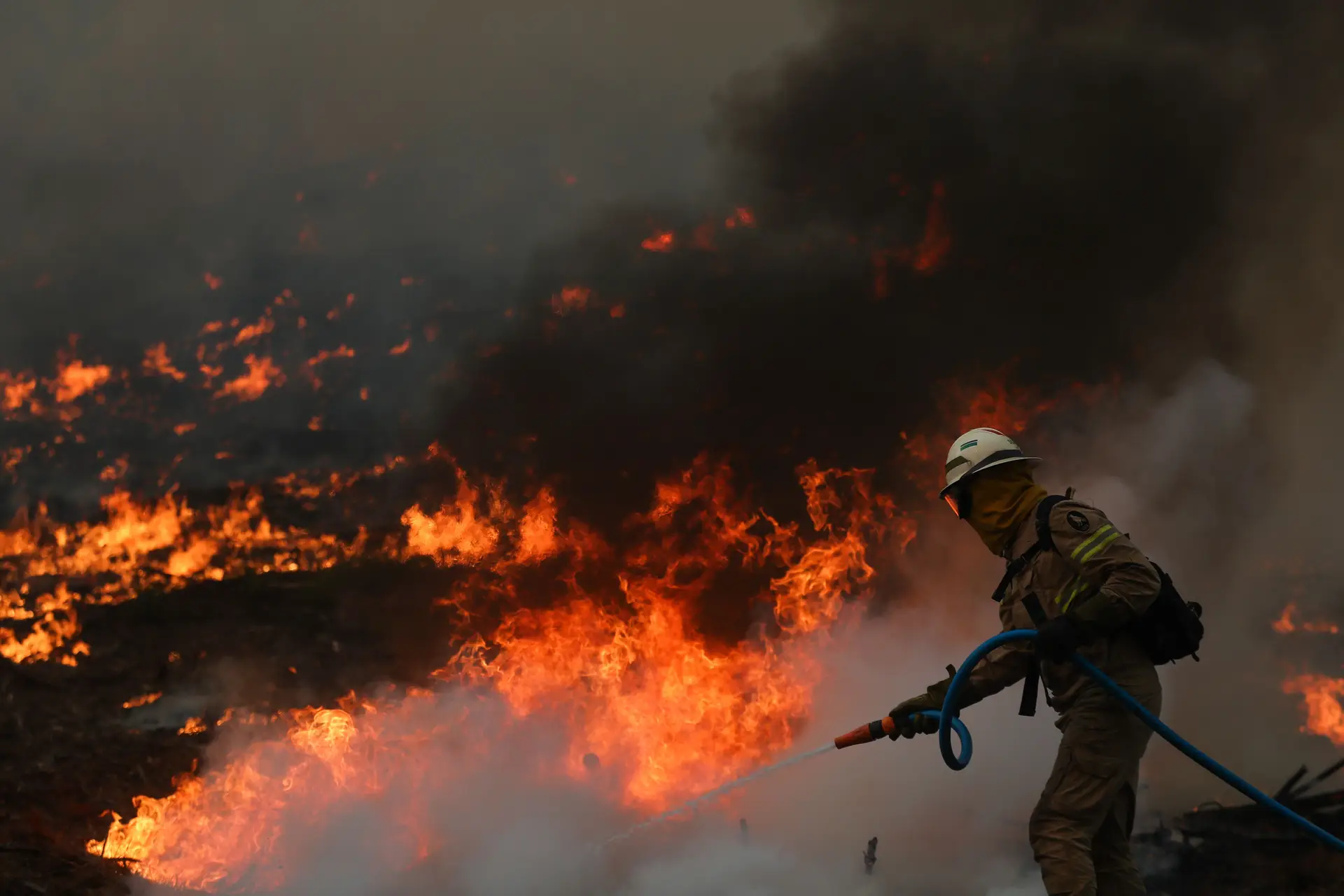 Cerca de 100 concelhos em perigo máximo de incêndio