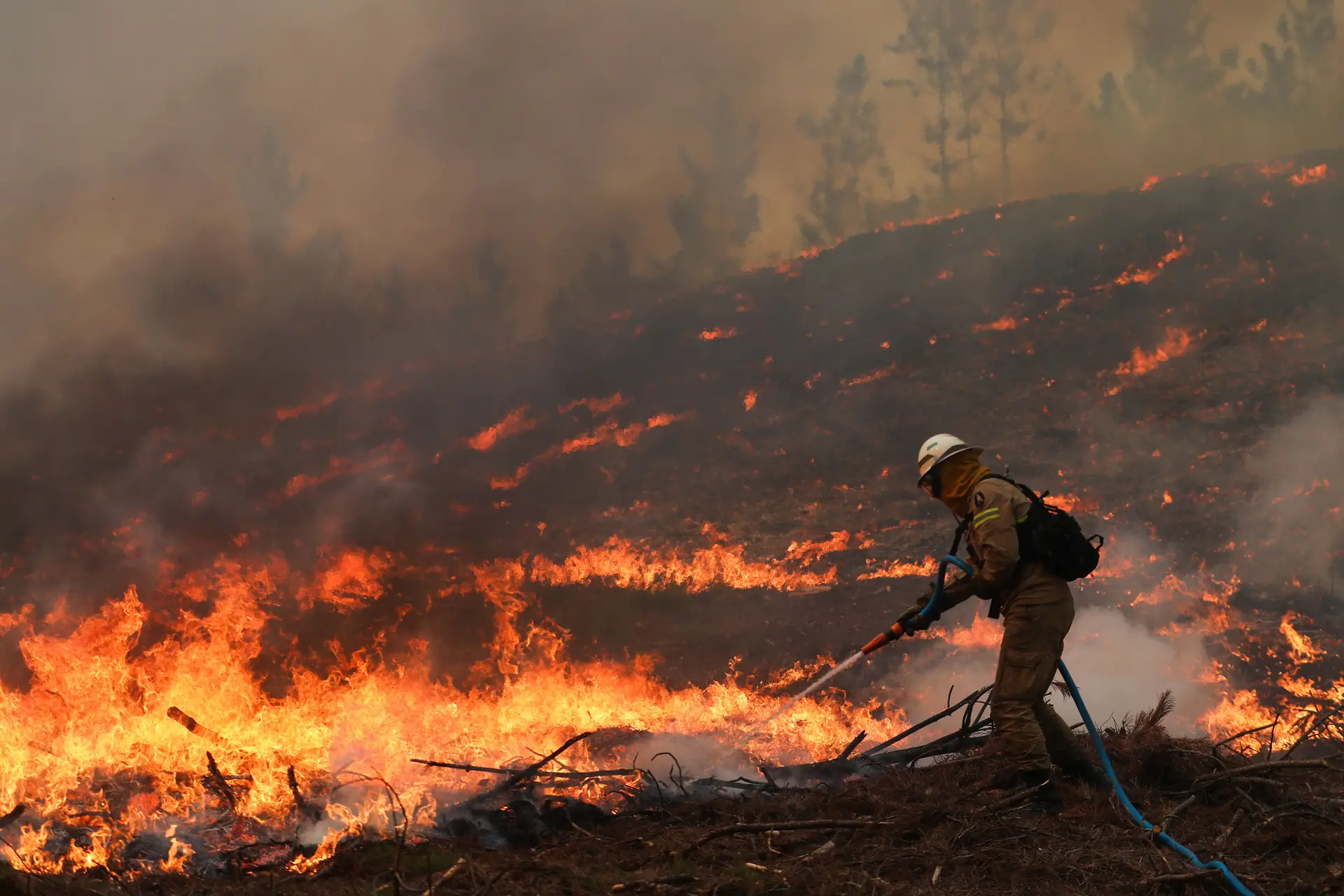 "Está muito grave": incêndio em Ponte de Lima passou para Barcelos