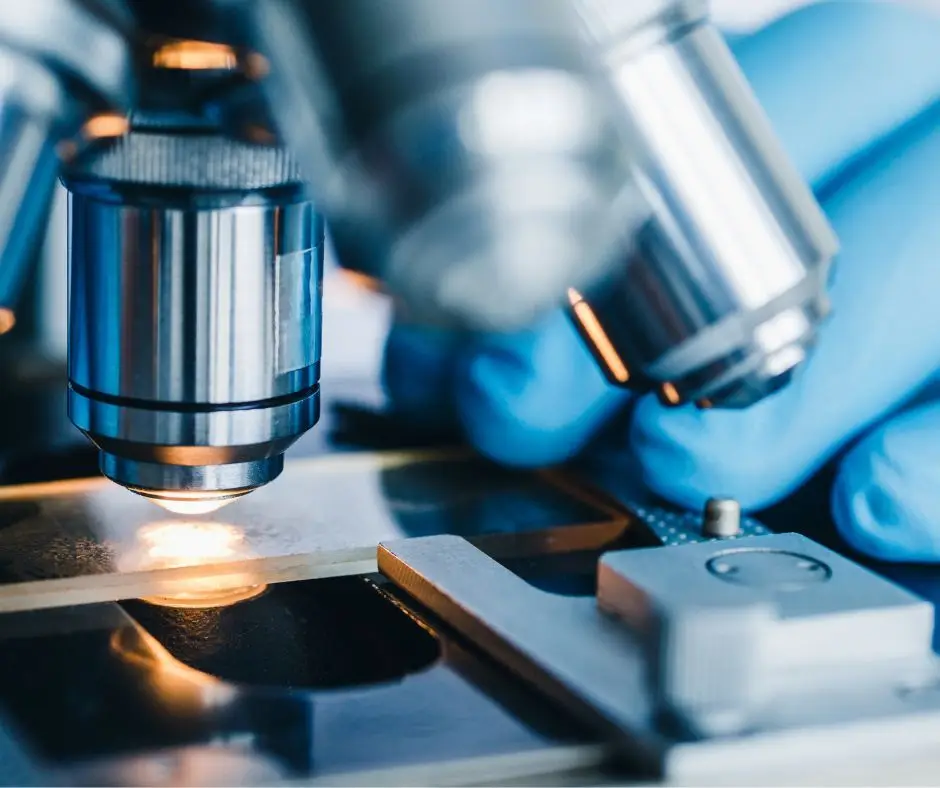 Descoberta proteína que ajuda a perceber o aparecimento de tumores malignos