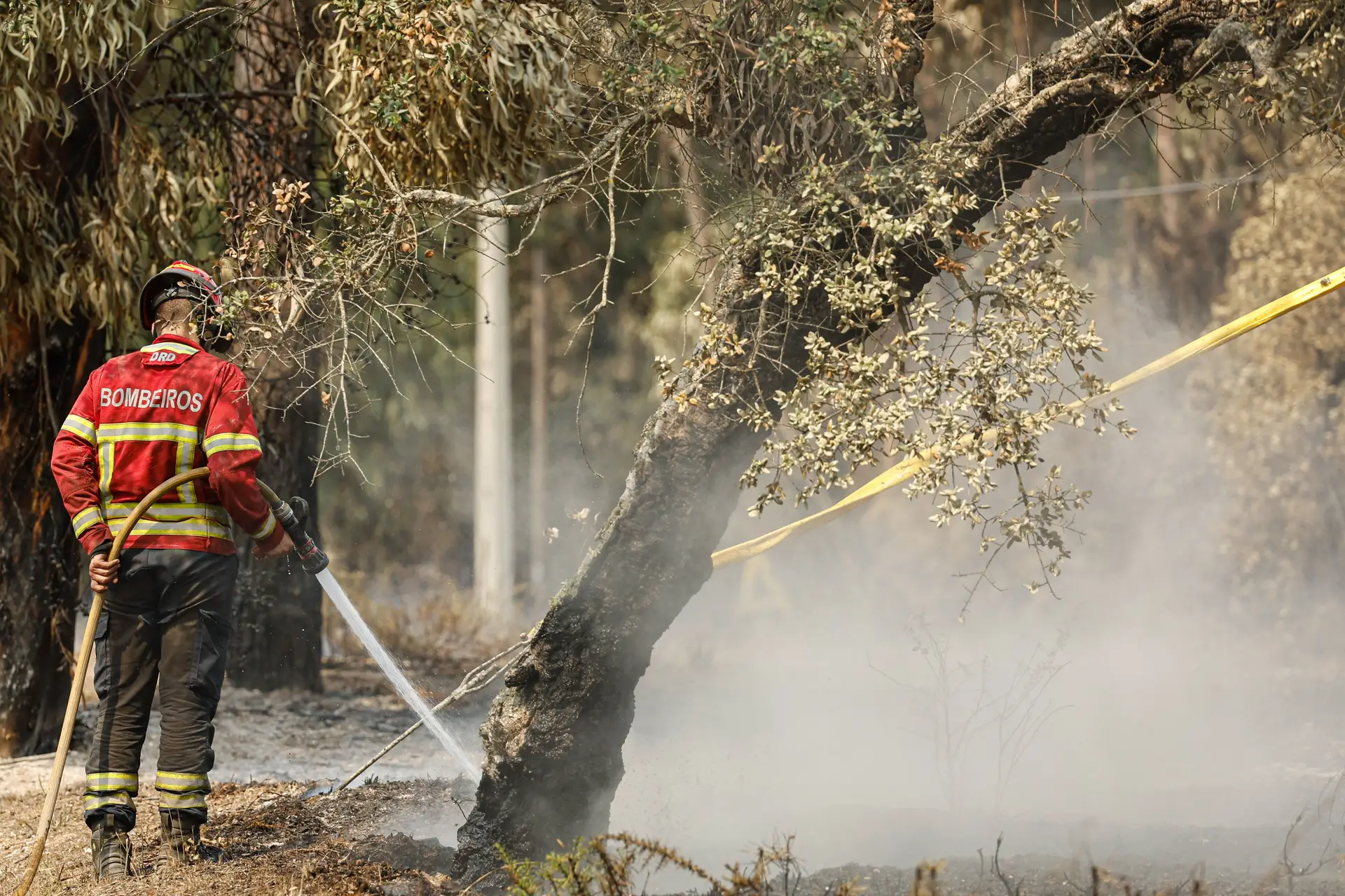 Perigo máximo de incêndio em mais de 70 concelhos
