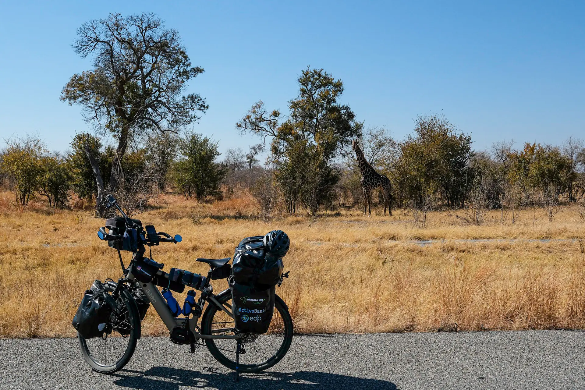 Um Botswana distante do que tinha imaginado, valeu-me a companhia de elefantes, girafas e antílopes
