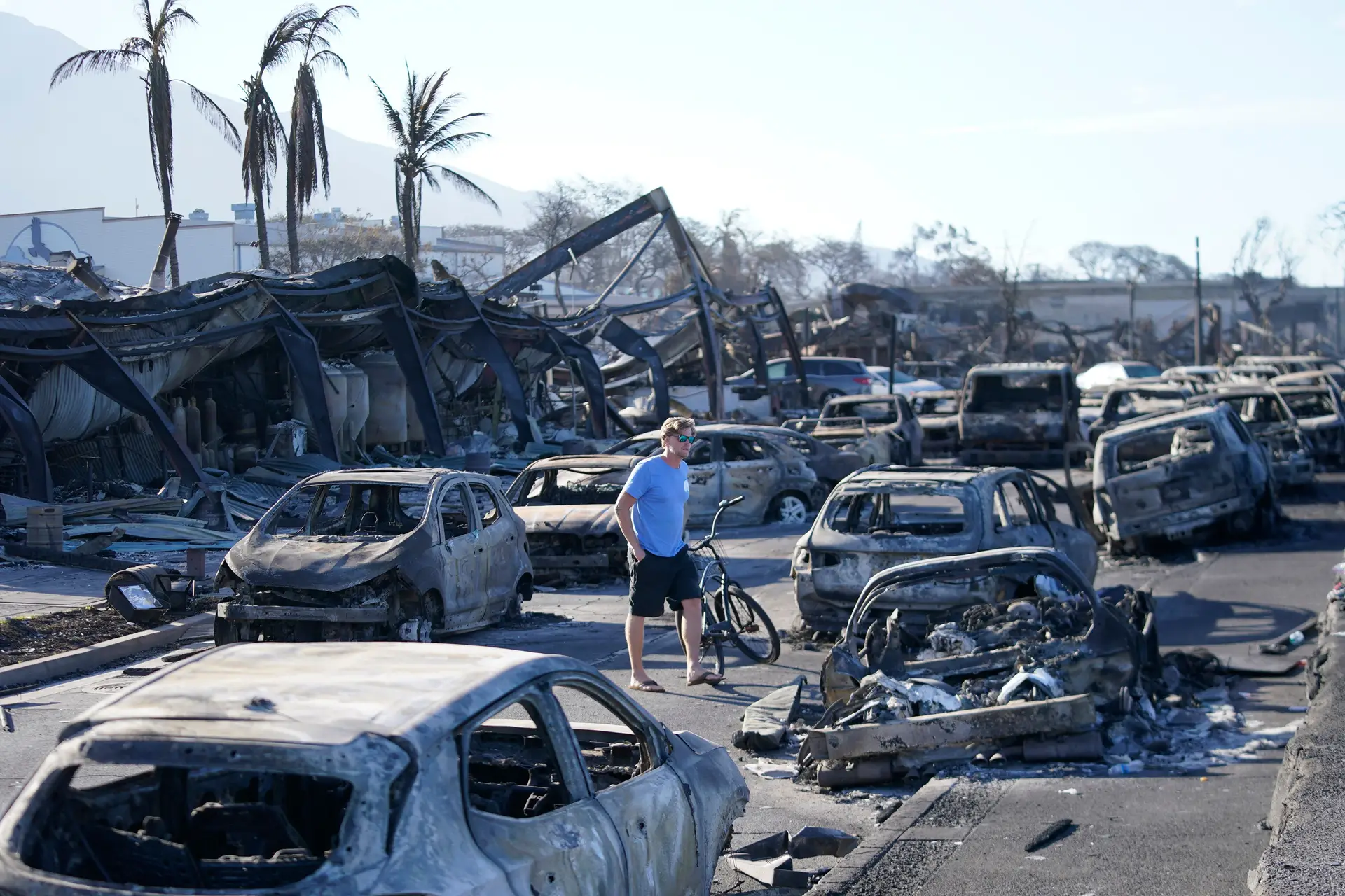 Incêndios no Havai: "Provavelmente vão encontrar entre 10 e 20 mortos por dia"